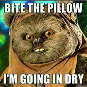 Meet your Posher, Sean